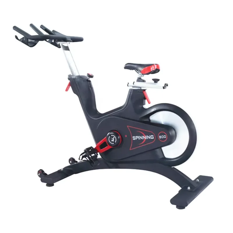 Professional Magnetic Resistan - Home Gym Fitness 评论和价格
