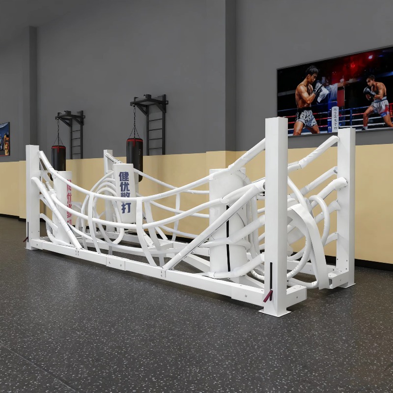 Foldable Gym Boxing Ring Set S - Home Gym Set 评论和价格