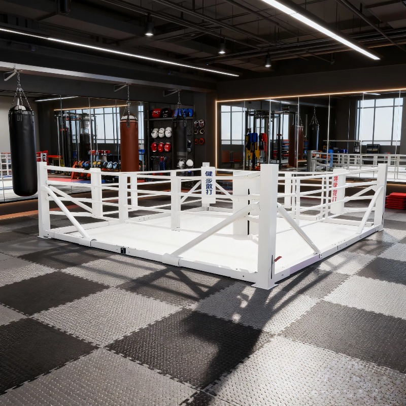 Foldable Gym Boxing Ring Set S - Home Gym Set 评论和价格