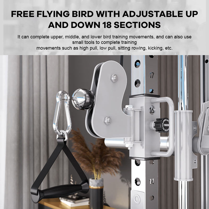 YTYIN Factory Supplier Home Gy - Home Gym Leg Machine 评论和价格