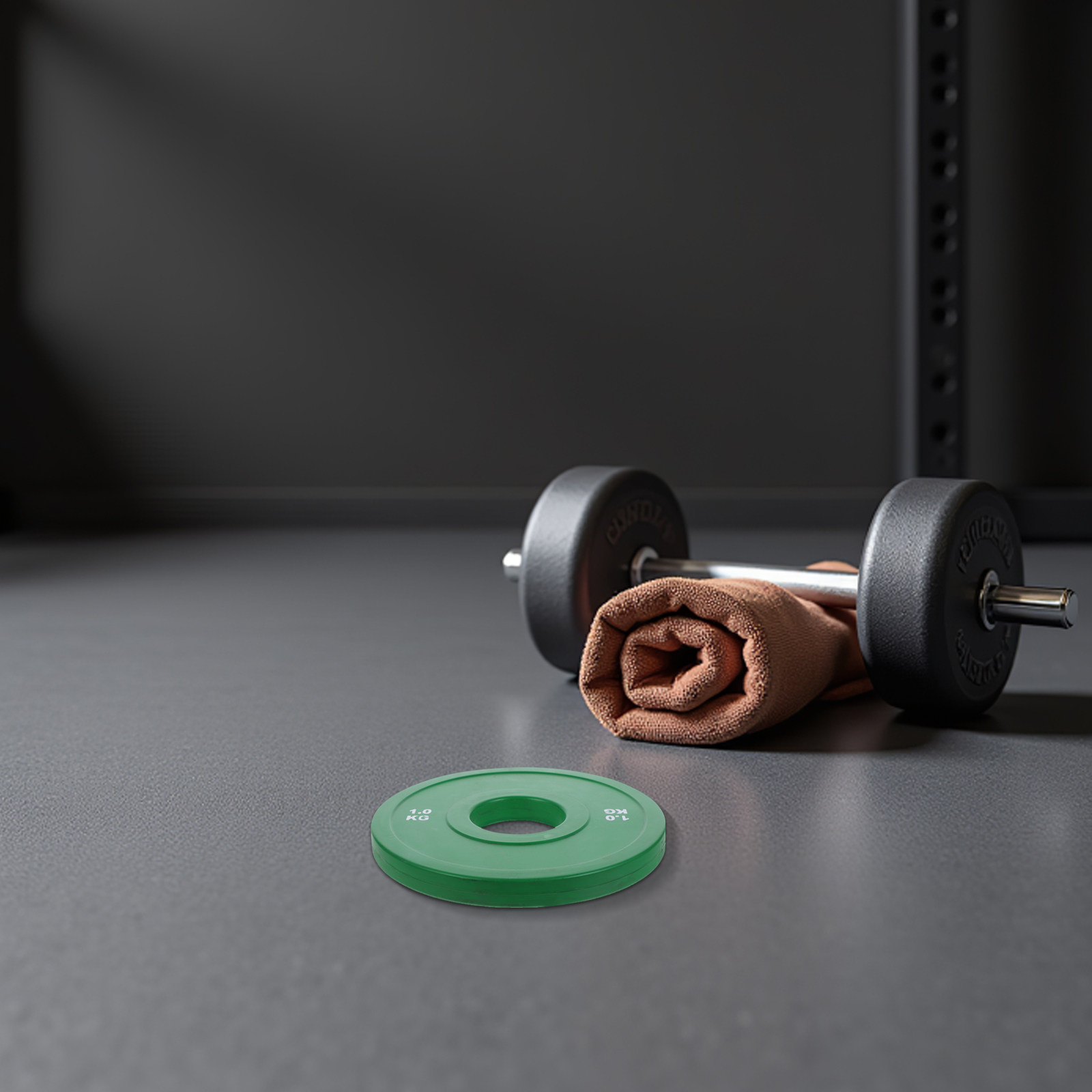 1Kg Rubber Bumper Plates for B - Weight Plate Bumper 评论和价格