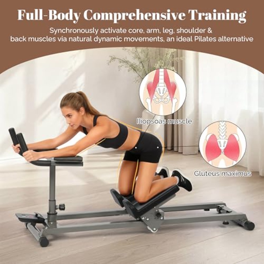 Home gym equipment: exercise c - Home Gym Leg Machine 评论和价格